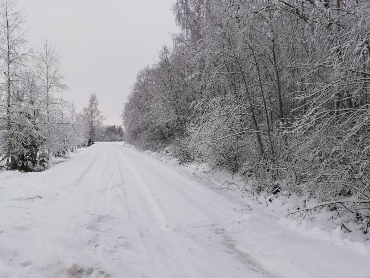 Jekaba Maja Vila Balvi Exterior foto
